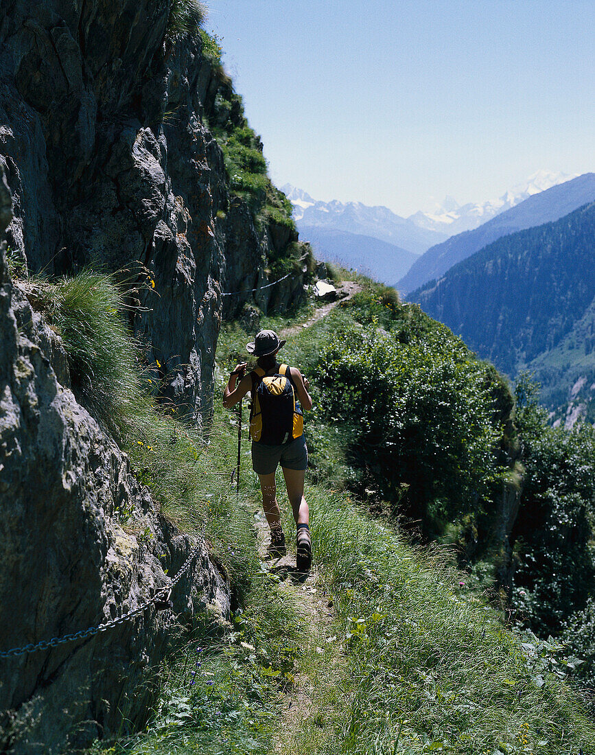 Frau beim Wandern, Aletschgletcher, Berner Alpen, Schweiz
