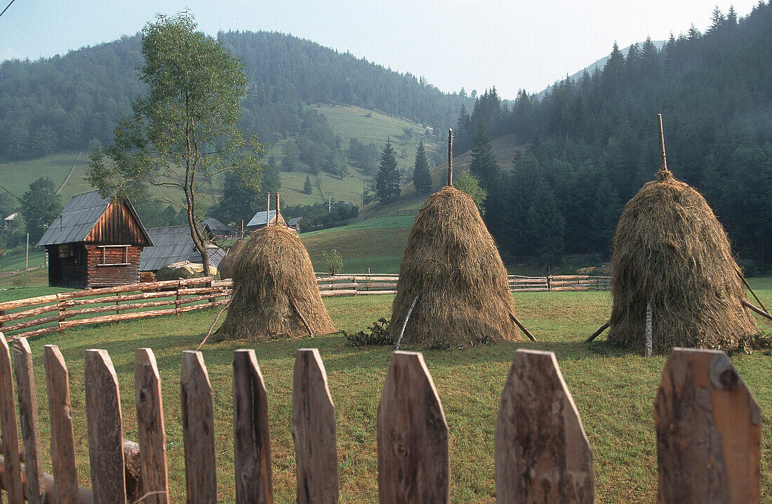 Haystacks, Western Carpathians Romania