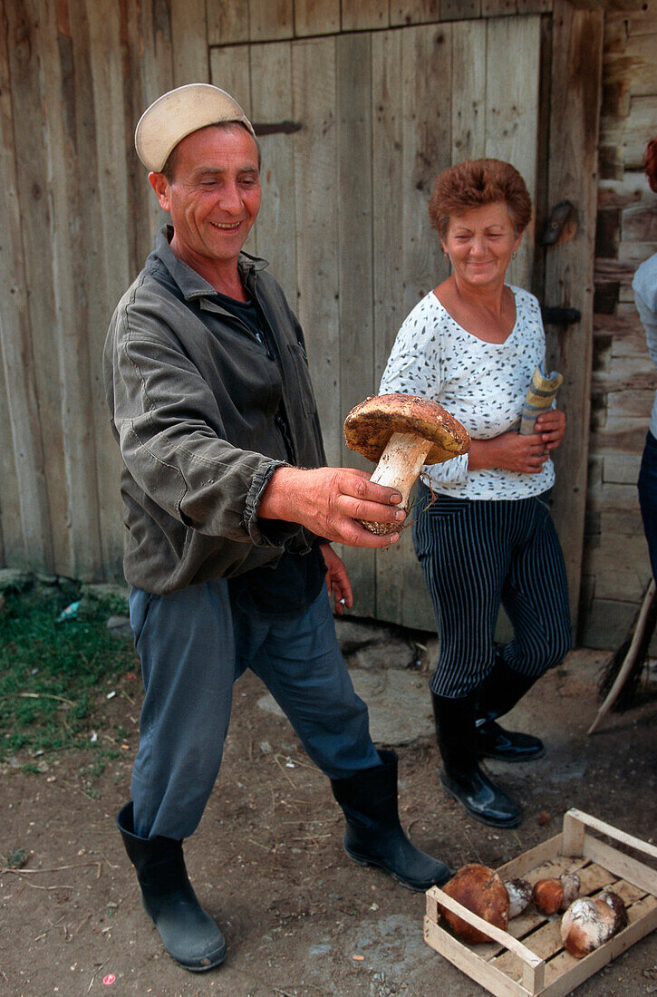Mushroom Gatherers, Western Carpathians Romania