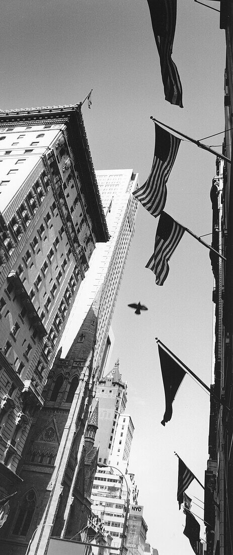 Fifth Avenue, Manhattan, New York City, USA