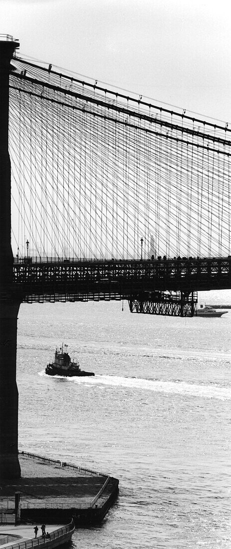 Brooklyn Bridge with Statue of Liberty, Brooklyn Bridge with Liberty Statue, New York City, USA