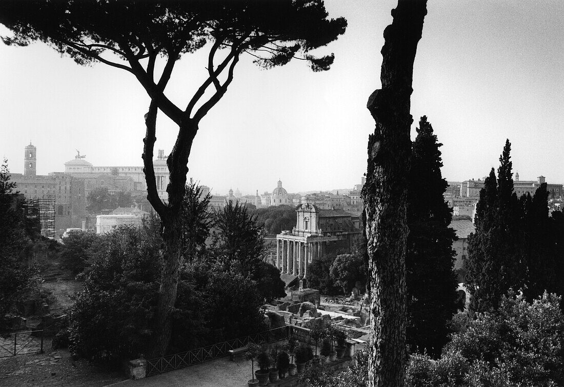 Capitole hill, Monumento Vittorio Emanuele II, Forum Romanum Rome, Italy