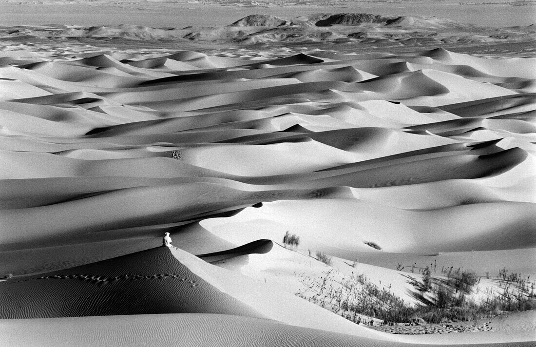 Fußspuren und Dünengras in der Wüste Sahara, Algerien