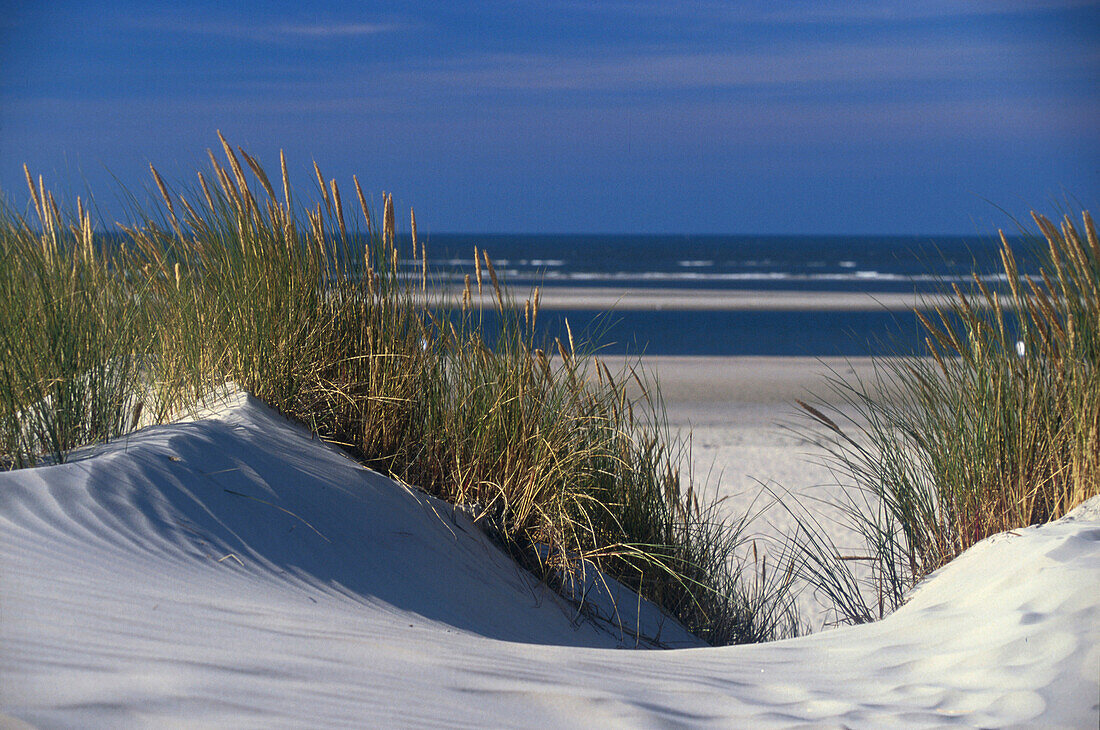 Duenen, Nordsee, Niedersachsen Deutschland