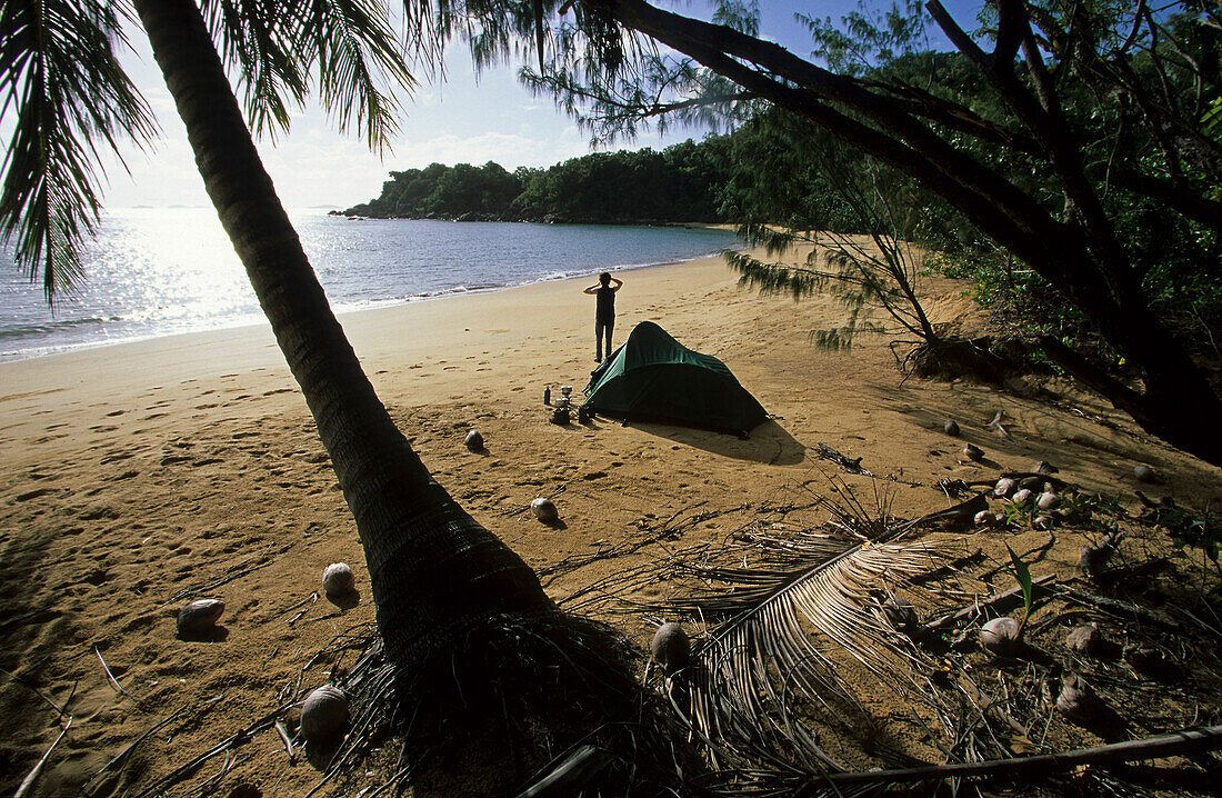 Person on sandy palm-fringed tropical beach, Hinchinbrook tropical Island, Thorsborne bushwalking trail, Queensland, Australia