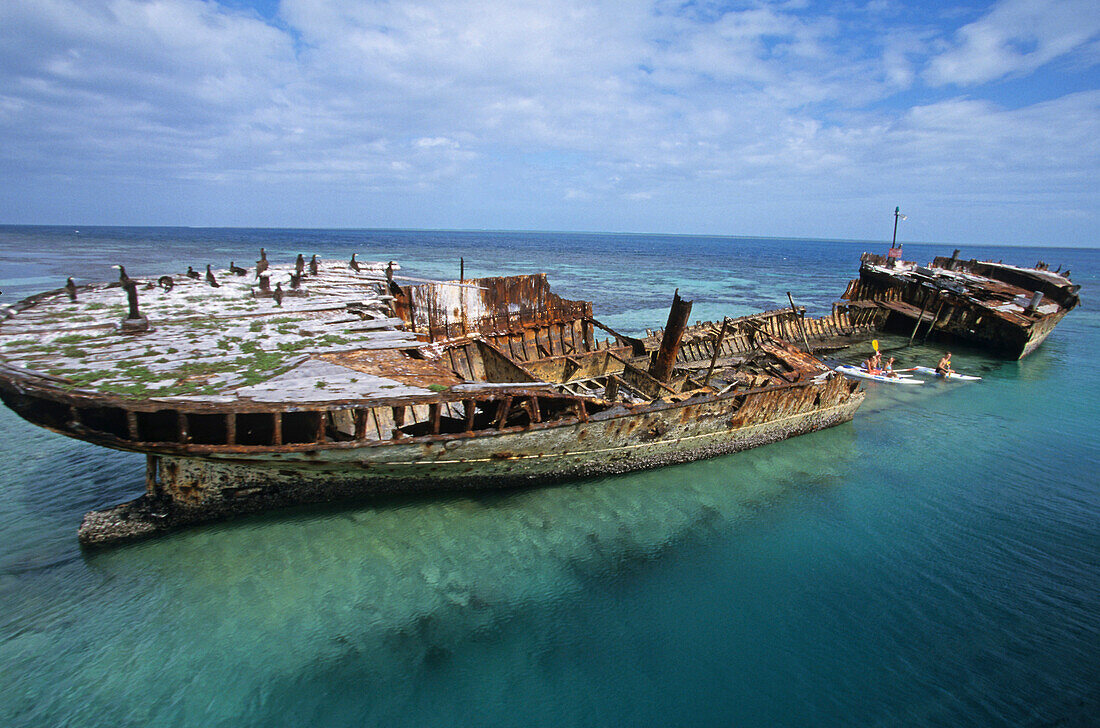 HMAS 'Protector' shipwreck, Heron Island, Barrier Reef, Queensland, Australien