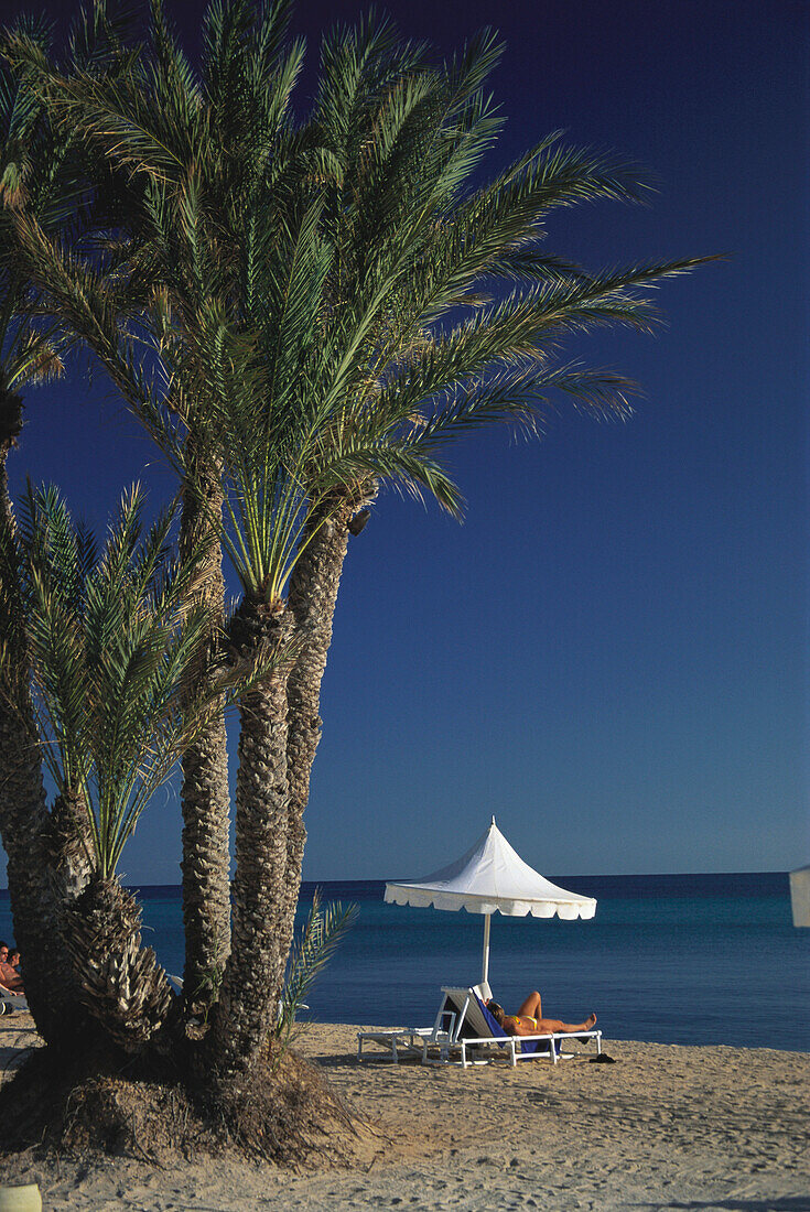 Frau beim Sonnenbaden am Strand, Strand mit Dattelpalmen, Djerba, Tunesien