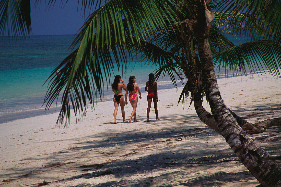 Strand, Kokospalmen, Dominikanische Republik Karibik