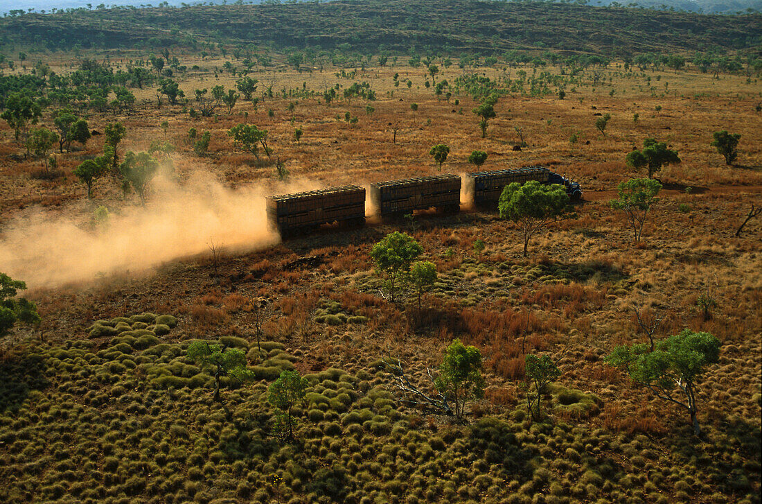 Cattle truck on dirt road in the Kimberleys, Australien, West Australien, Kimberley, cattle truck, from the air