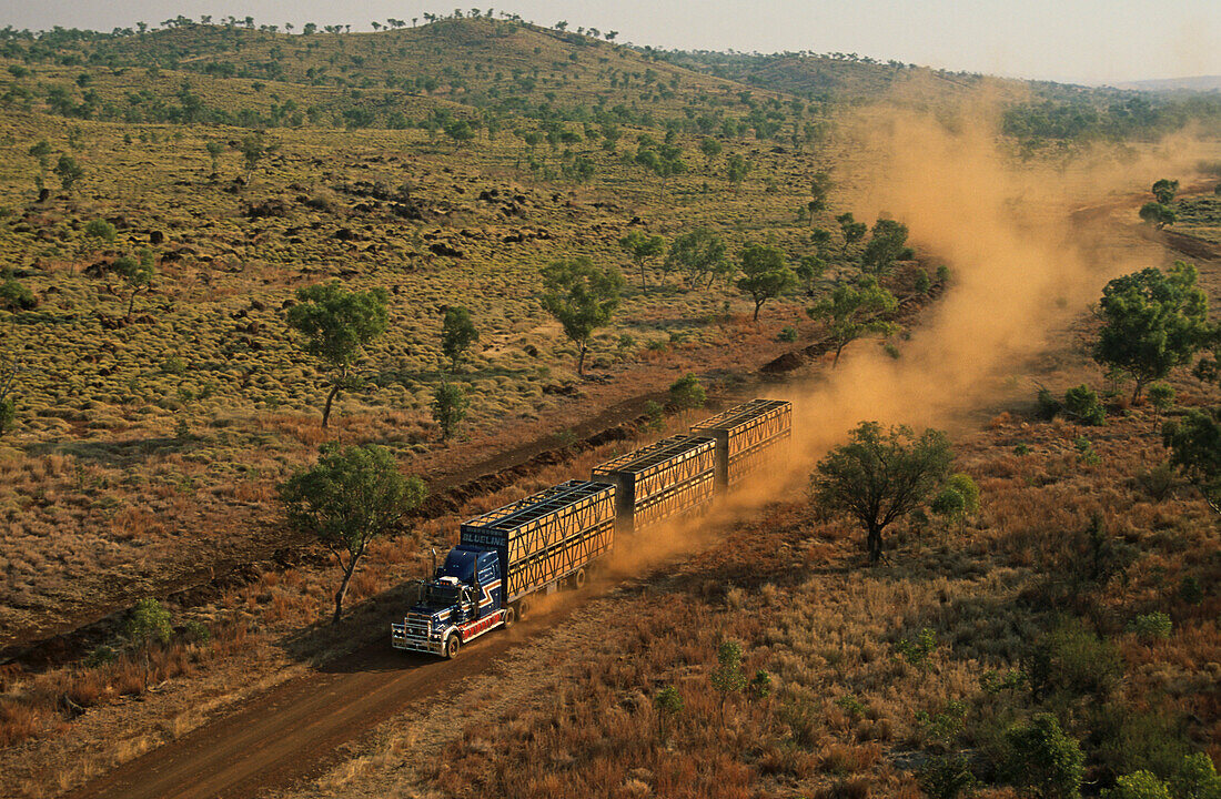 Cattle truck on dirt road in the Kimberleys, Australien, West Australien, Kimberley, cattle truck, from the air