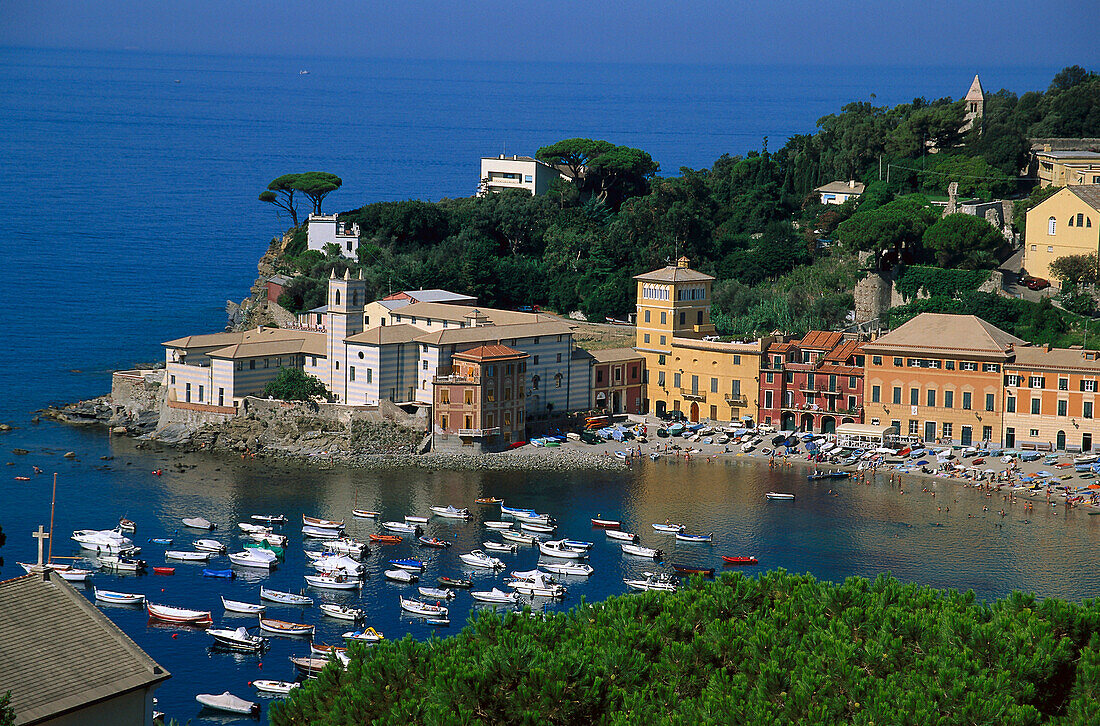 Blick auf Bucht mit Booten und die Stadt Sestri Levante, Riviera di Levante, Ligurien, Italien, Europa
