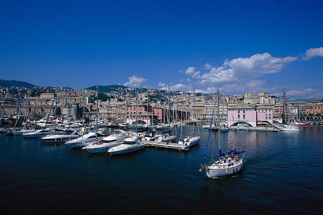Jachten im Hafen unter blauem Himmel, Porto Antico, Genua, Ligurien, Italien, Europa