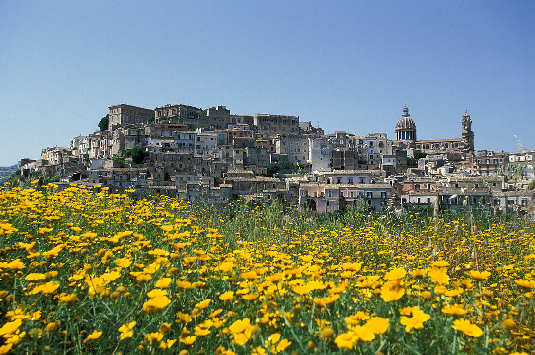 Flower meadow and town in the sunlight, Ragusa, Sicily, Italy, Europe