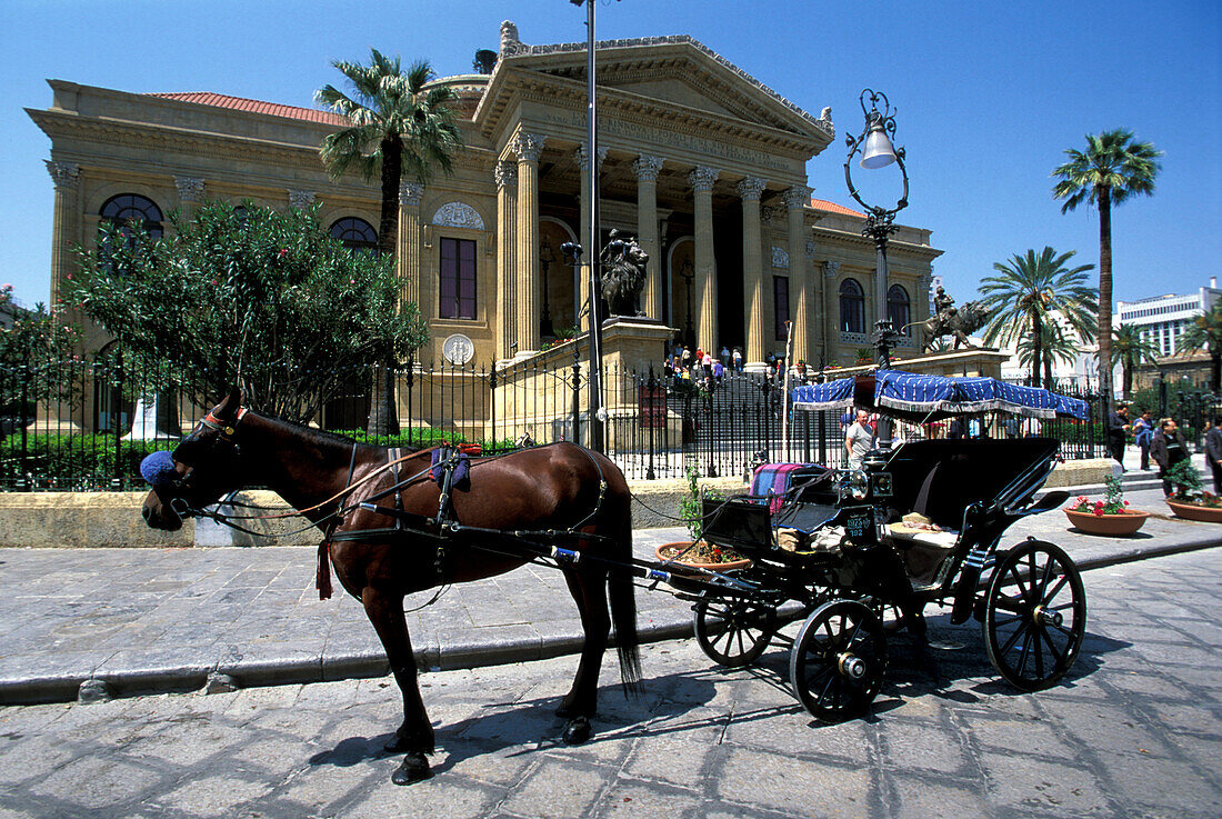 Horse drawn carriage in front of the Theatro Massimo, Palermo, Sicily, Italy, Europe