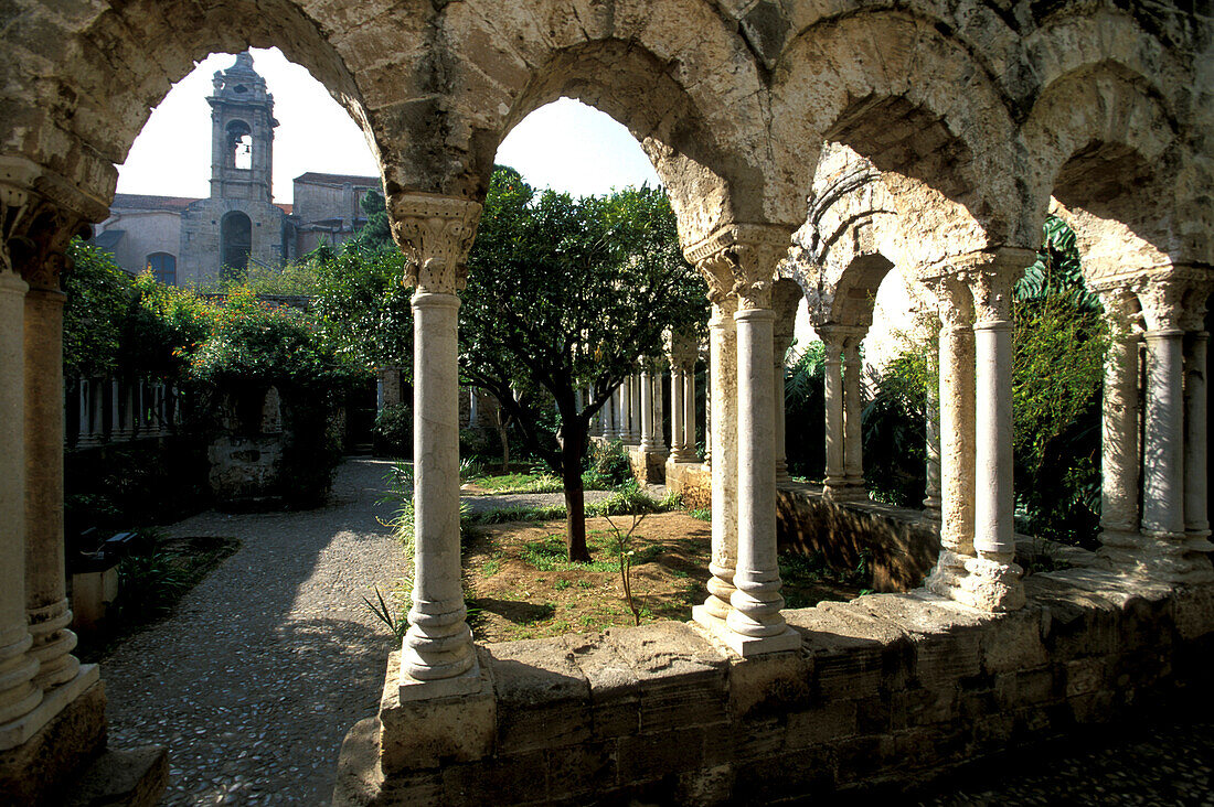 Cloister San Giovanni degli Eremiti, Palermo, Sicily, Italy