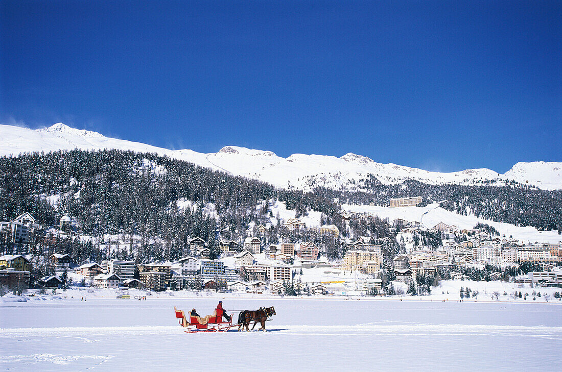 Pferdeschlitten in Winterlandschaft, St. Moritz, Graubünden, Schweiz, Europa