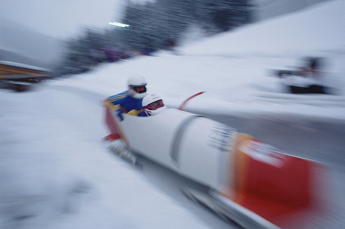 Two-man bobsled in action