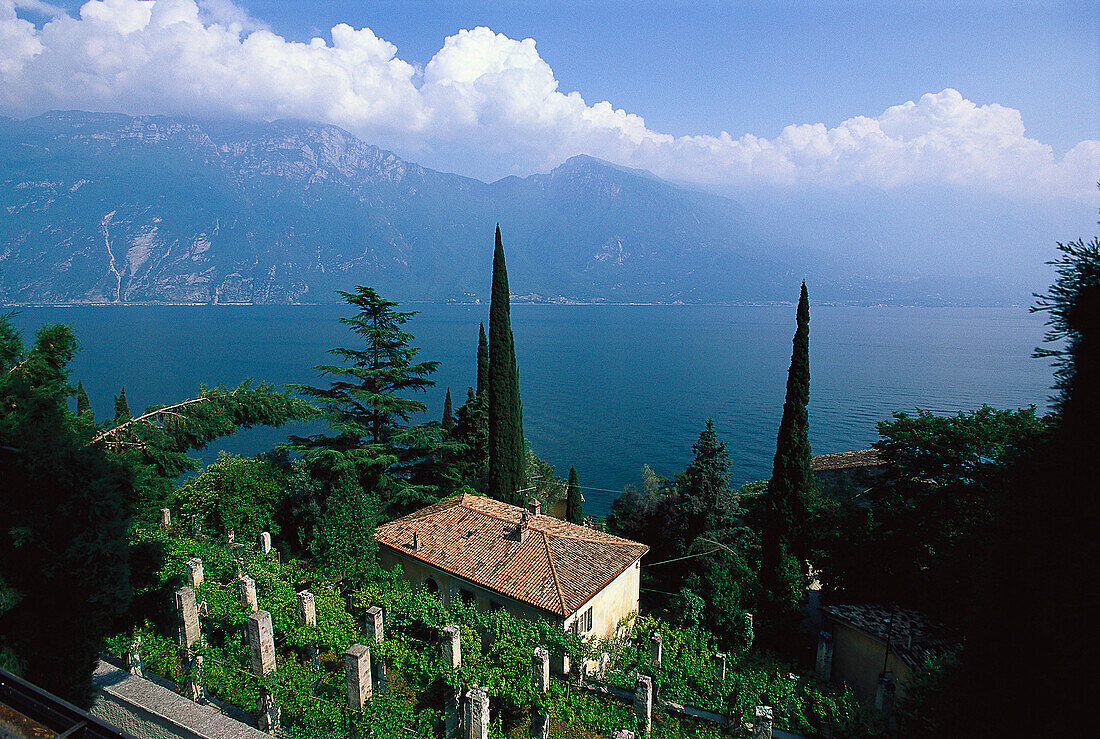 Limone, Gardasee, Trentino, Italien