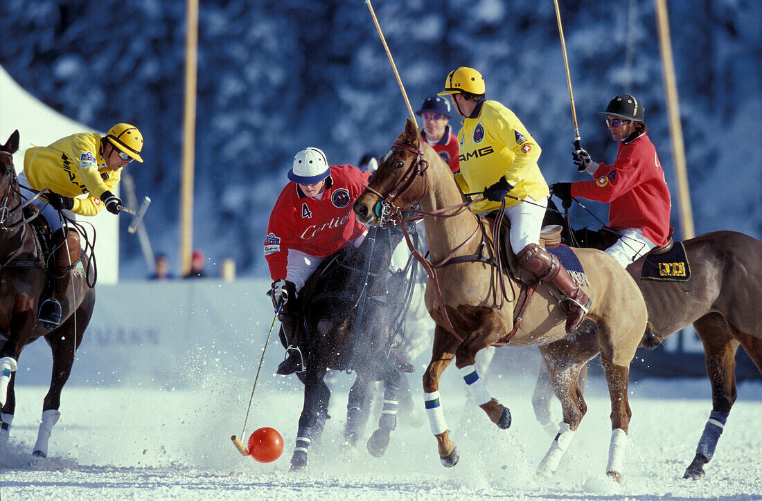 Polo auf Schnee, St. Moritz, Engadin Graubuenden, Schweiz