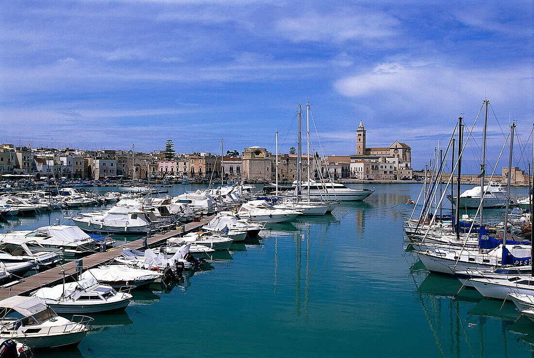 Hafen von Trani, Apulien, Italien
