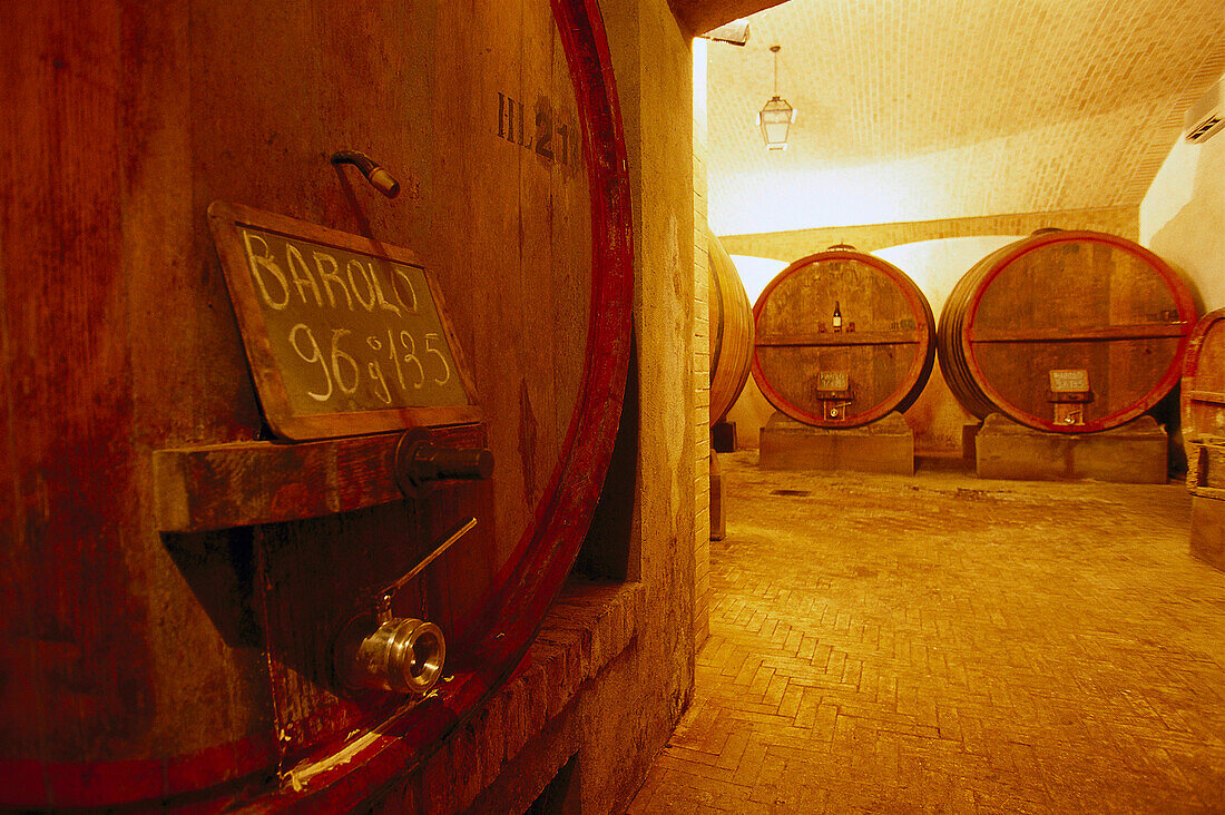 Fässer in der Weinkellerei Aldo Conterno, Monforte d' Alba, Piemont, Italien, Europa