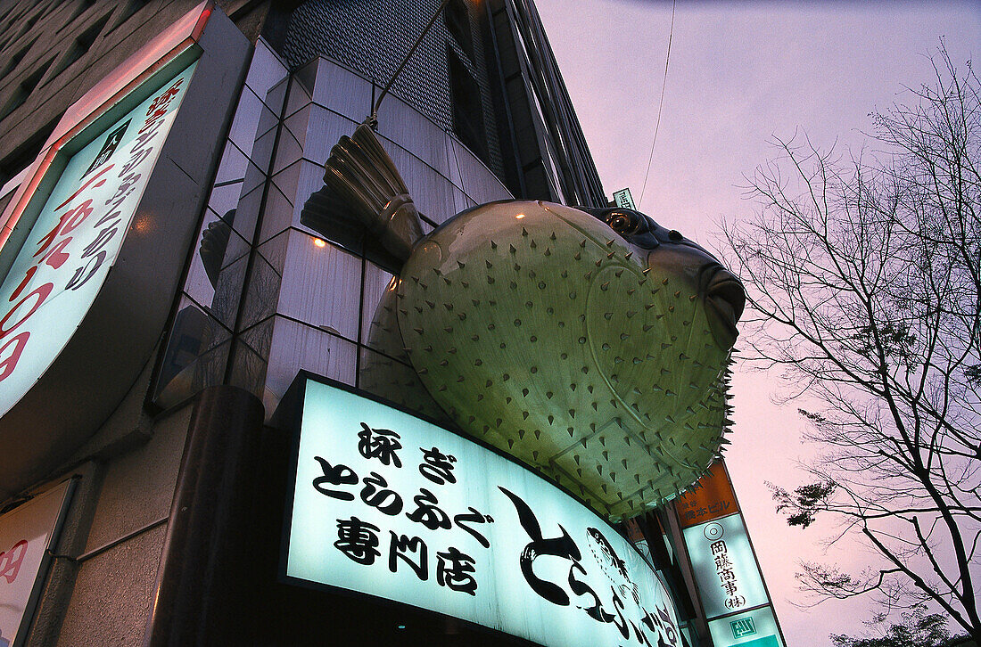 Fugu-Restaurant am Abend, Kugelfisch Restaurant, Tokio, Japan, Asien
