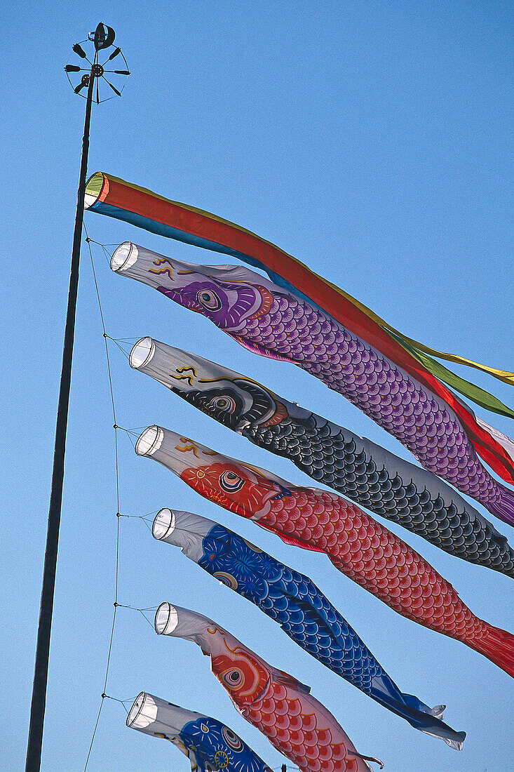 Koi-Nobori, Windsäcke in Form von Kois als Symbol für die Anzahl der Söhne einer Familie, Knabenfest, Japan