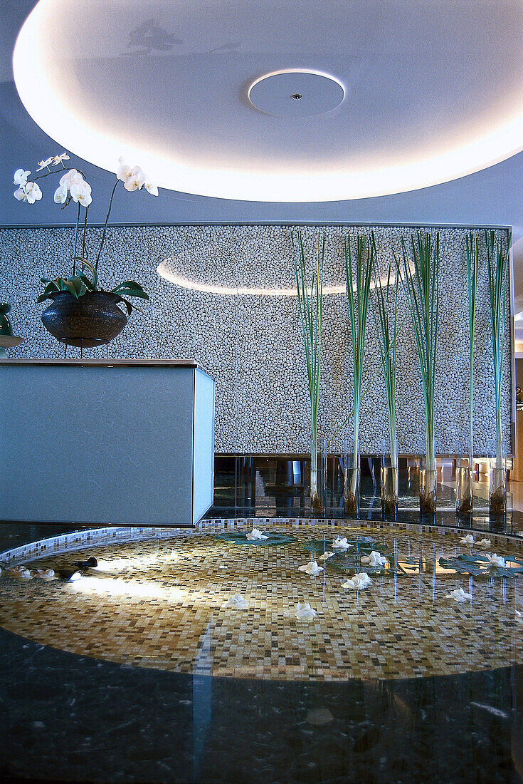 Water basin, Hotel Banyan Tree Spa, Bangkok, Thailand