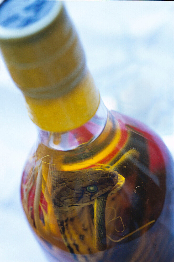 Flasche mit Schlangenwein, Vietnam, Asien