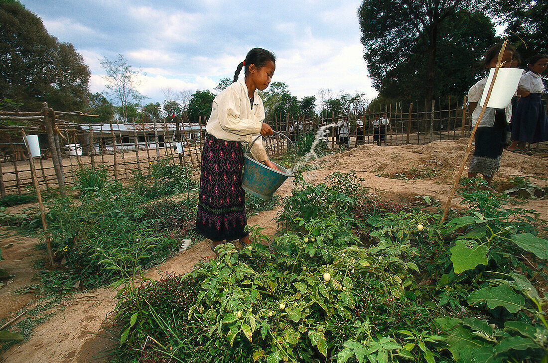 Schulgarten, Selbsthilfeprojekt der DWHH, Dorf Lui, Nangkeen Salavane-Provinz, Laos