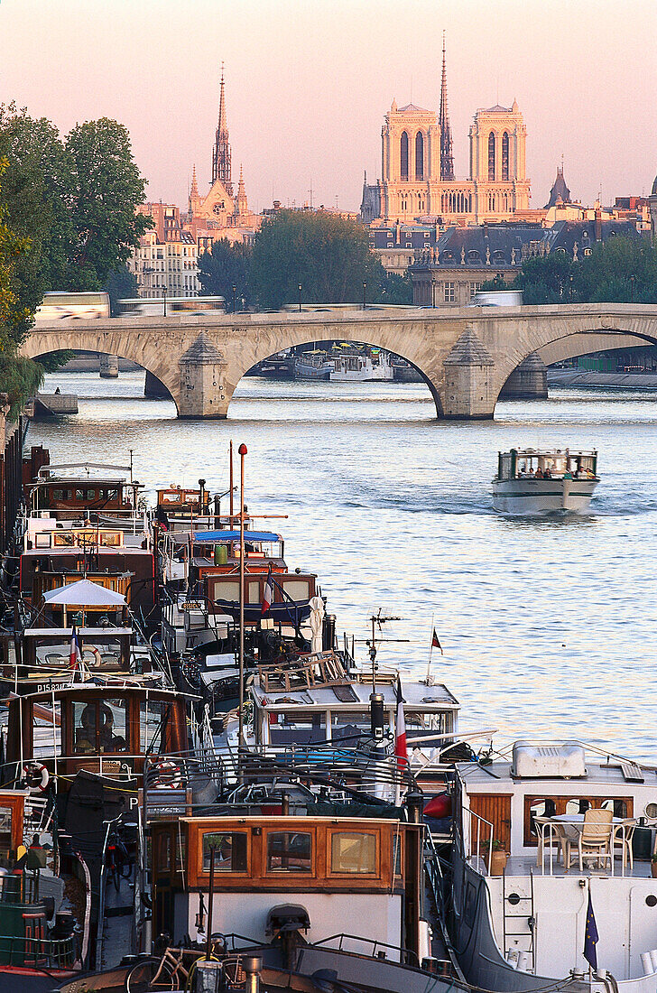 Blick auf die Seine, Paris, Frankreich
