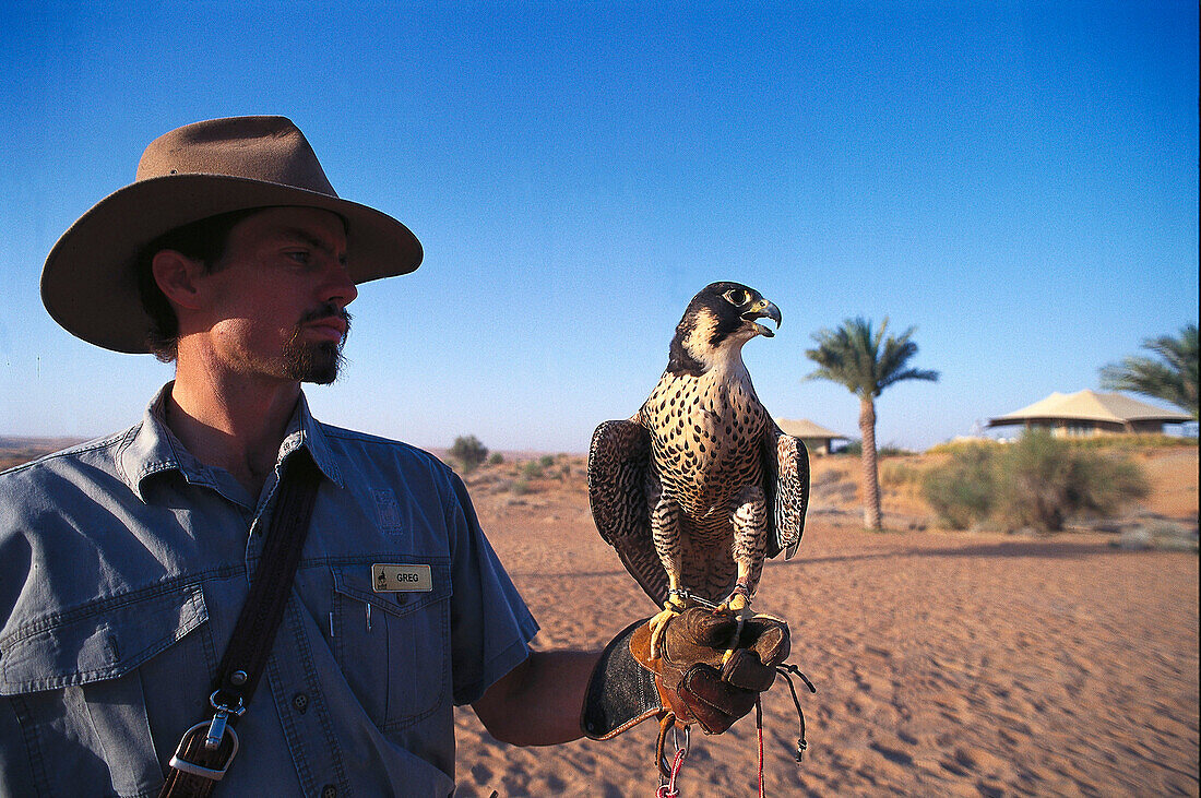 Man with hunting falcon, Al Maha Desert Resort, Dubai, V.A.E., United Arab Emirates, Middle East, Asia
