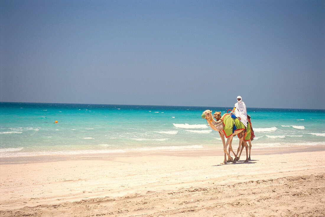 Ein Mensch reitet am Strand auf einem Kamel, Jumeirah Beach, Dubai, Vereinigte Arabische Emirate