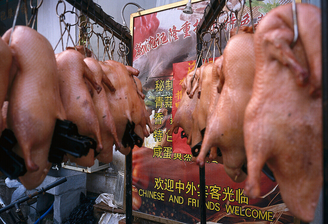 Ducks, Market near Fuxing Road, French Concession Shanghai, VR China
