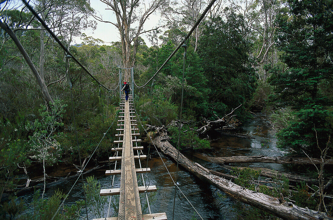 Plank bridge, Narcissus River, Overland Track Tasmania, Australia