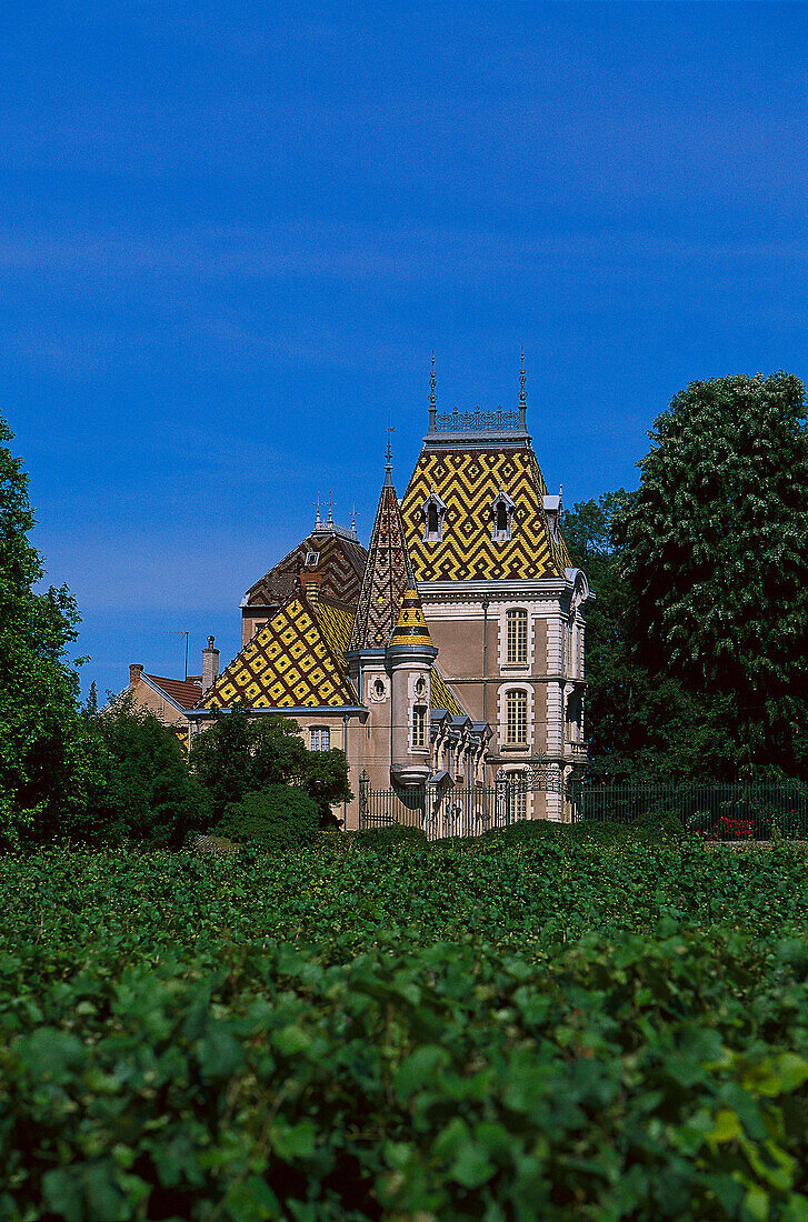 Corlon le Chateau, Aloxe Corlon Burgundy, France
