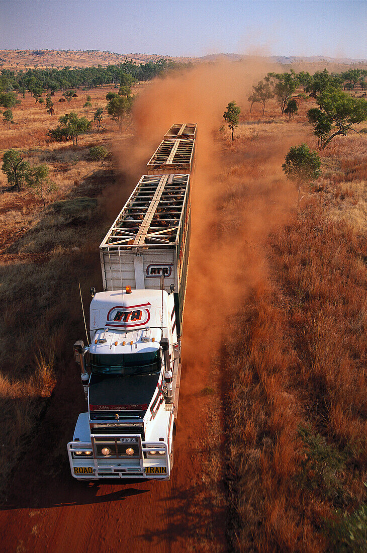 Tiertransport in der Wüste, Schotterstraße von Kimberleys, Kimberley, West Australien, Australien