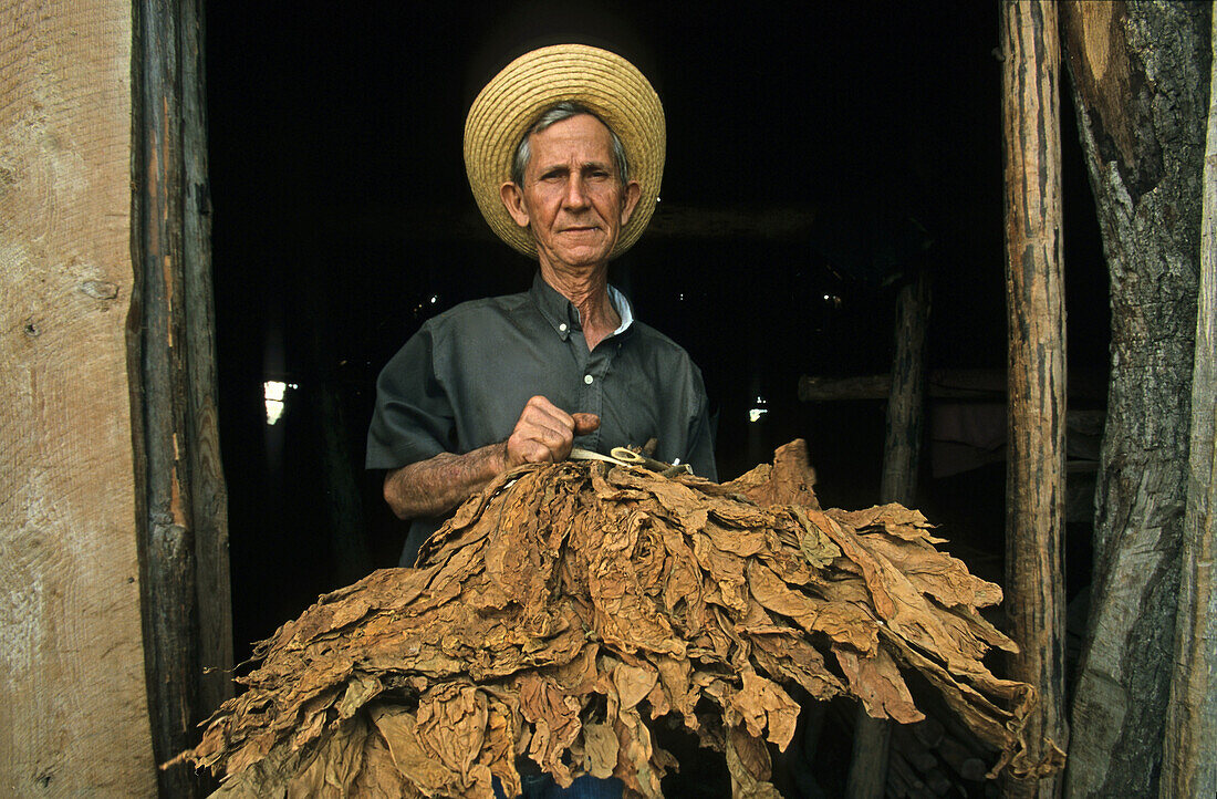 tobacco farmer in doorway with dried leaves, Valle de Vinales, Cuba