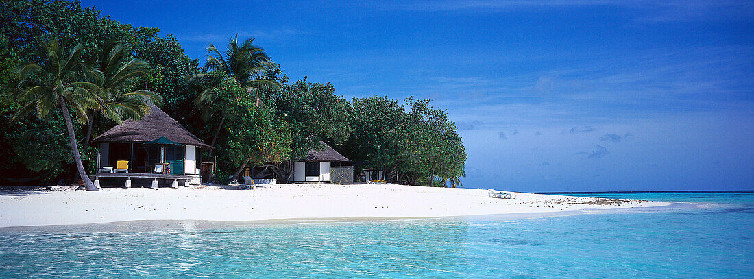 Huts on the beach under palm trees, Hotel Banyan Tree Spa, Vabbinfaru, Maledives, Indian Ocean