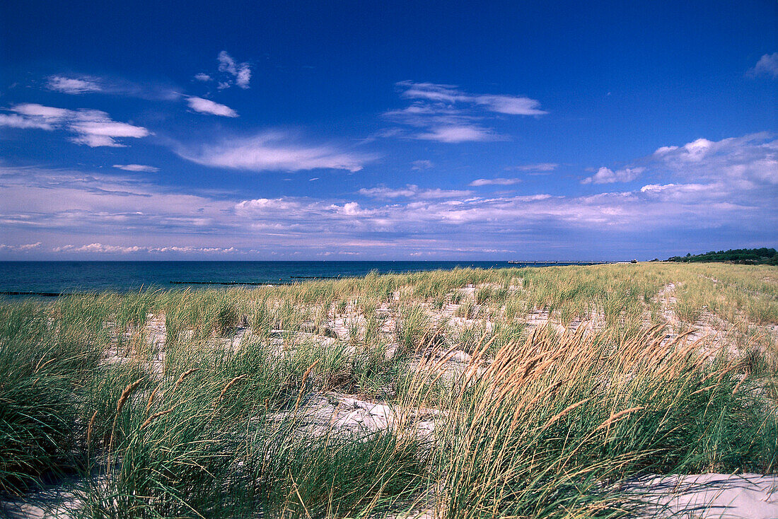 Dünen nahe Wustrow, Darss. Ostsee, Mecklenburg Vorpommern, Detuschalnd