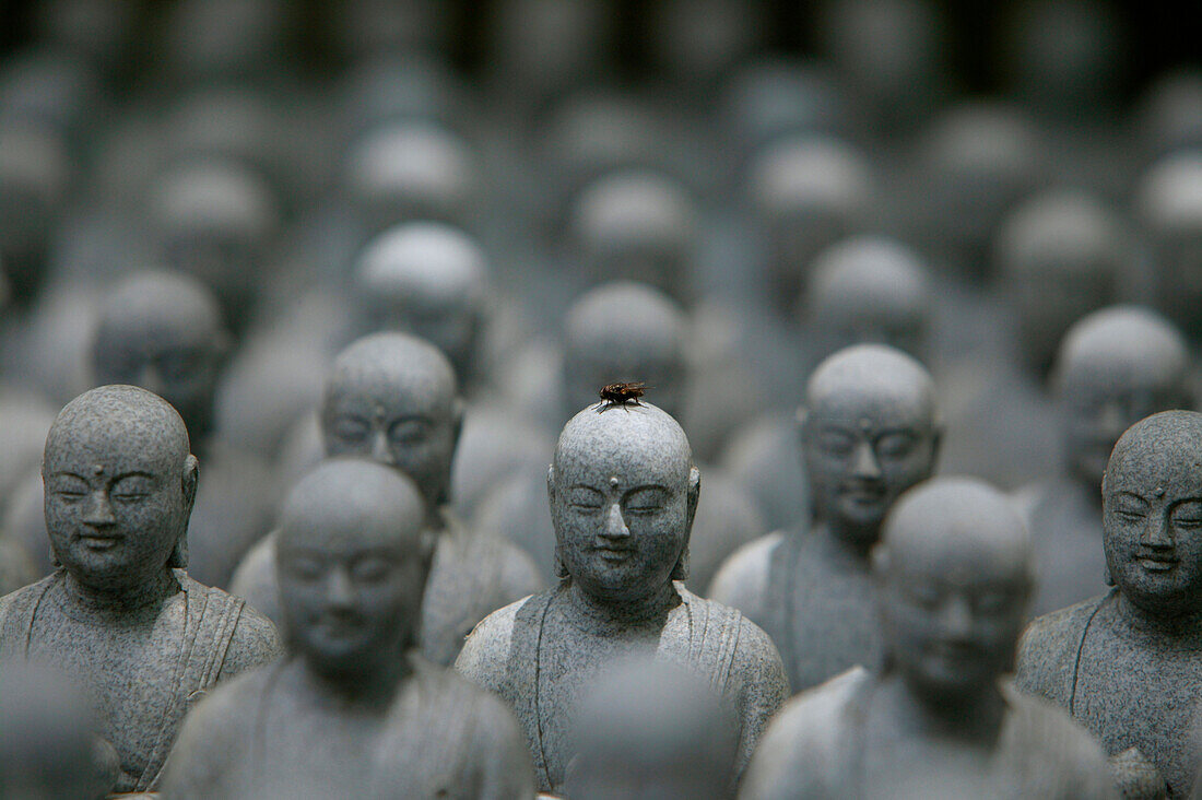 Fly on Jizo-figures, Remembrance of the souls of unborn childs Hase Kannon Tempel, Kamakura, Japan