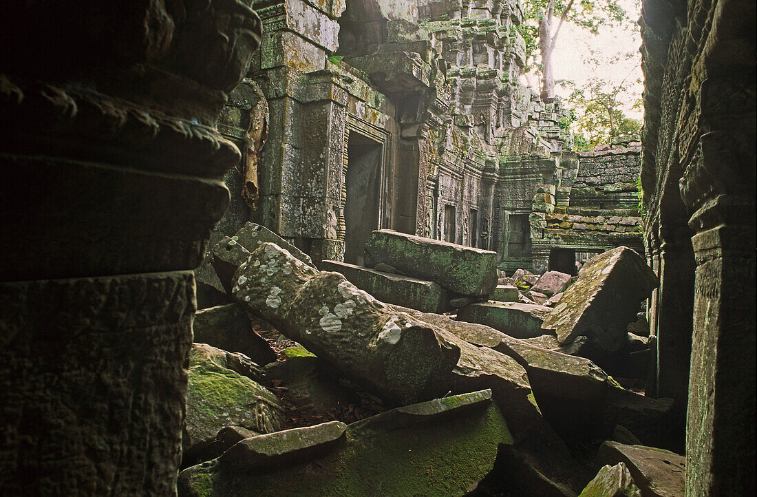 Ta Prohm, Angkor, near Siem Reap Cambodia