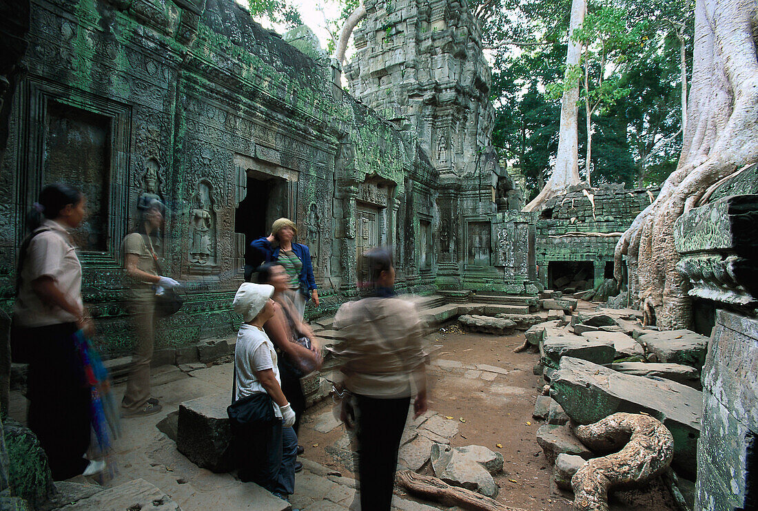 Ta Prohm, Angkor, near Siem Reap Cambodia