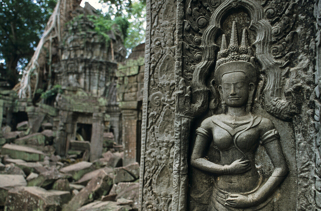 Relief, Ta Prohm, Angkor Cambodia