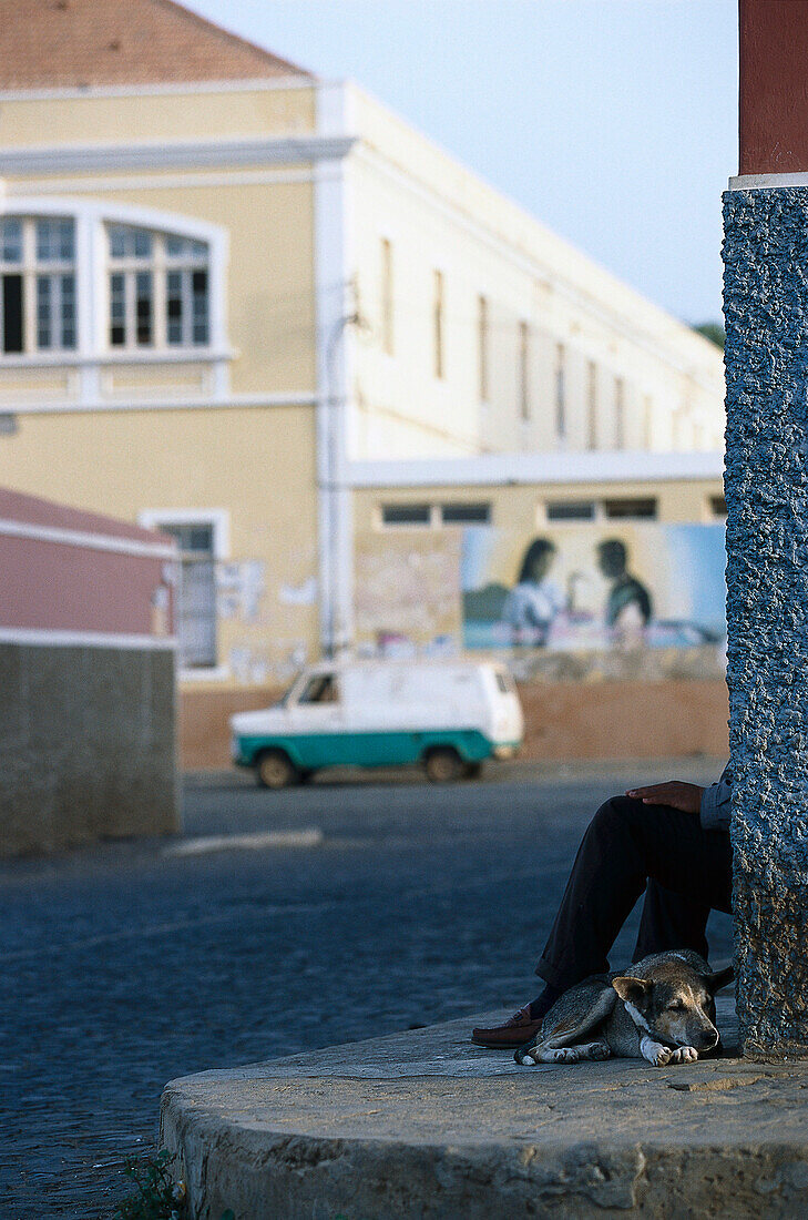 Hund auf einer Strasse in Mindelo, Sáo Vicente, Kapverden, Afrika