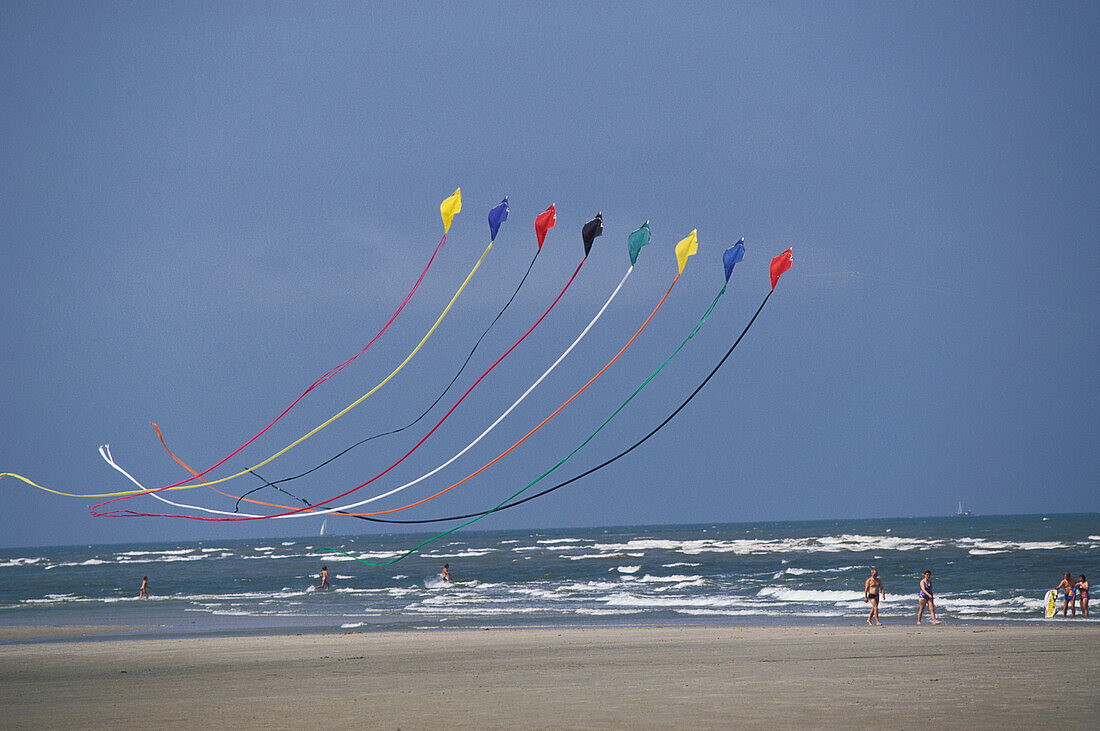 Kites, North sea, Lower Saxony, Deutschland