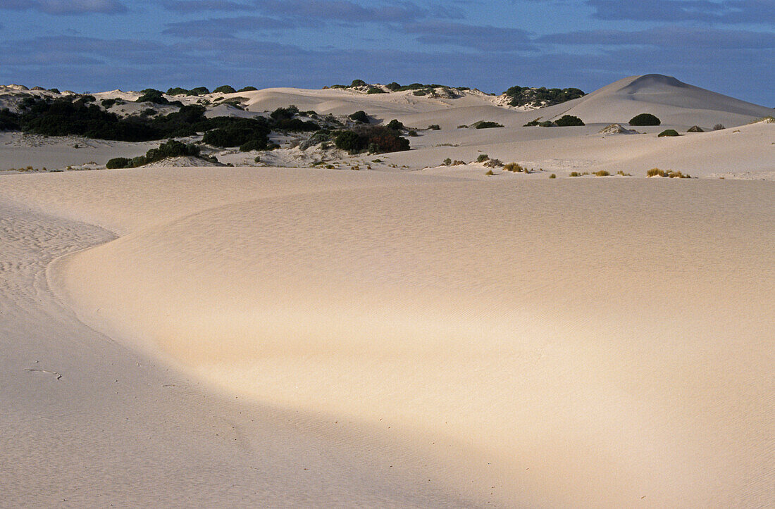 Weiße Sanddüne, Fluss Fitzgerald, Nationalpark, Westaustralien, Australien