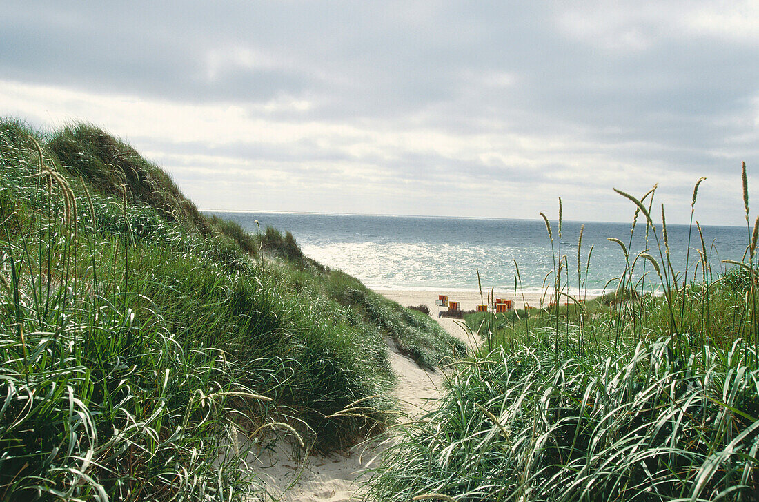 Dunes on Sylt Island, North Frisian Islands, Schleswig-Holstein, Germany
