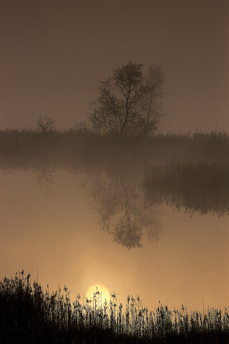 Sonnenaufgang am See, Deutschland