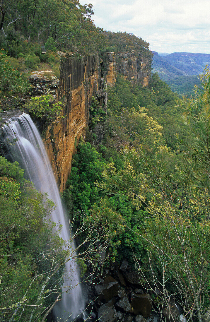 Wasserfall im Morton Nationalpark, Fitzroy Falls, Morton Nationalpark, Südschottisches Hochland, New South Wales, Australien